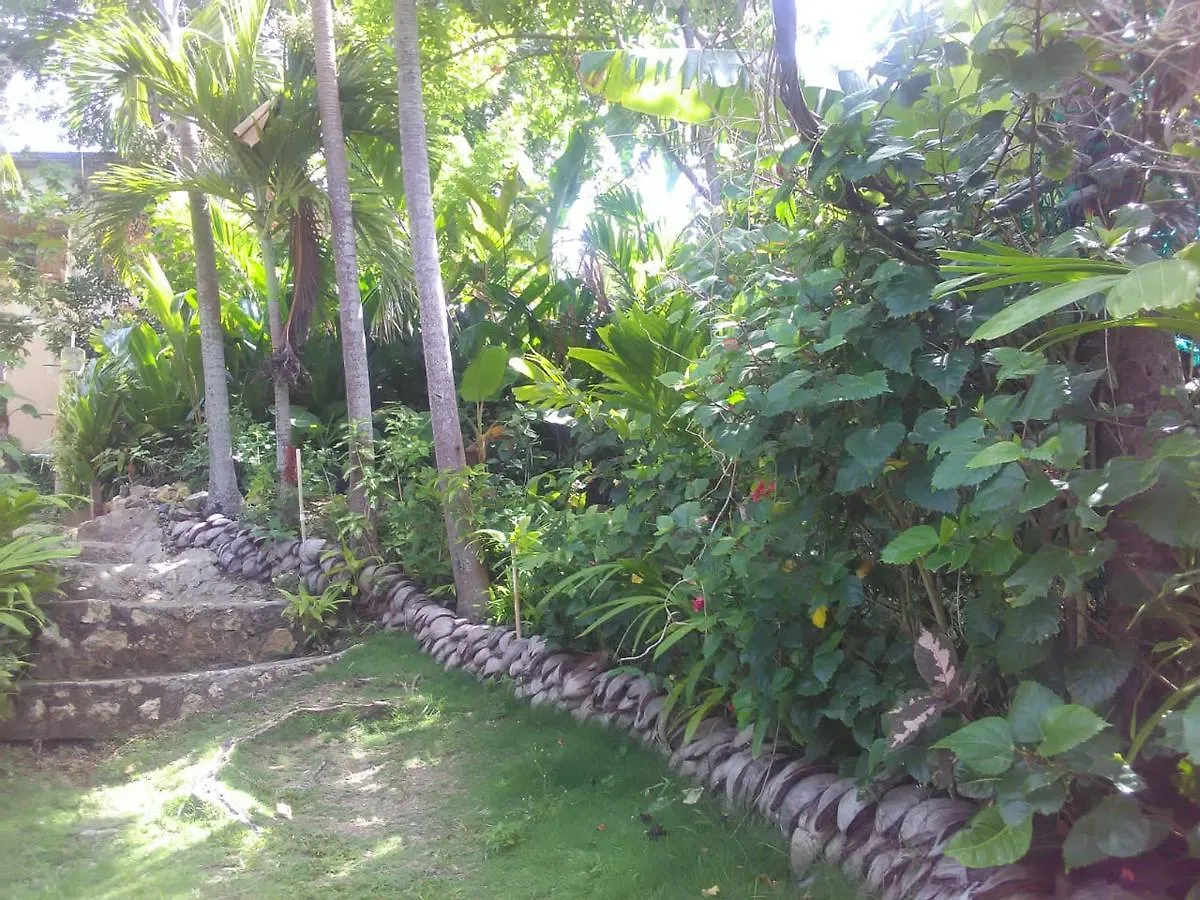 Hotel Port Antonio Brian'S Beach House Lodge