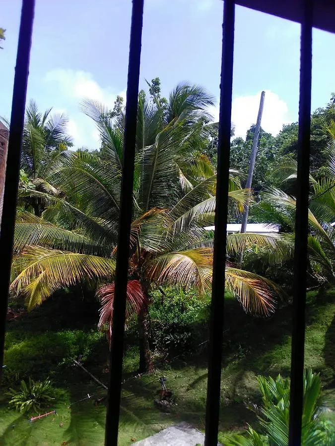 Hotel Port Antonio Brian'S Beach House Lodge