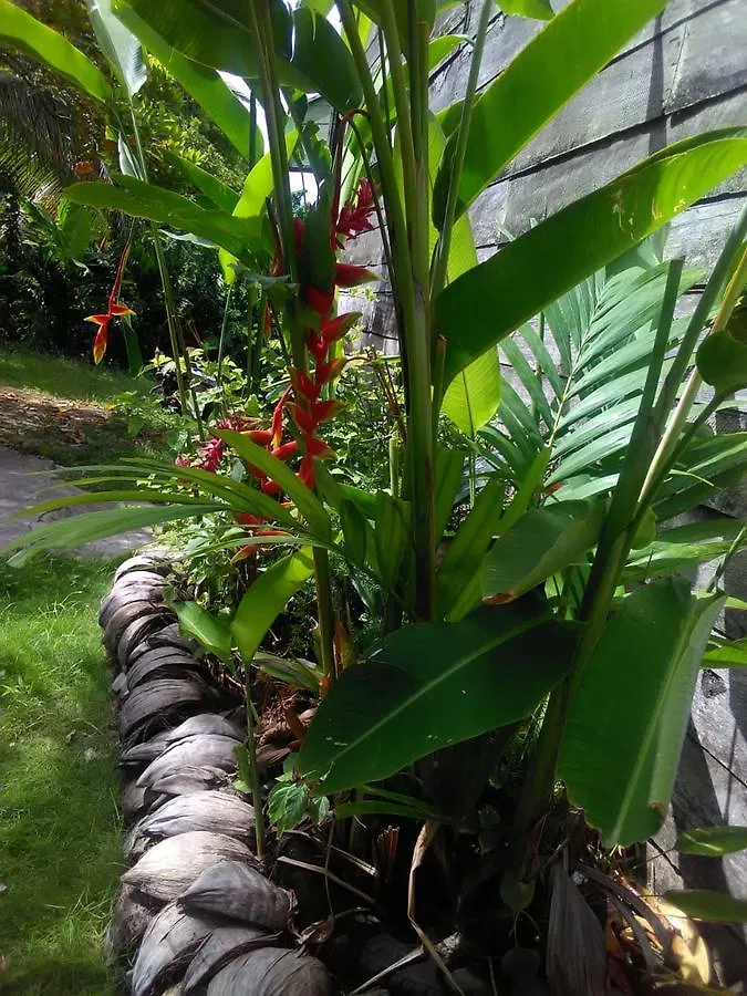 Lodge Hotel Port Antonio Brian'S Beach House