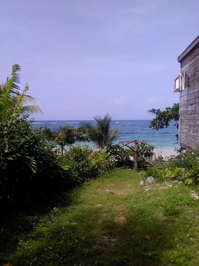 Hotel Port Antonio Brian'S Beach House 0*,