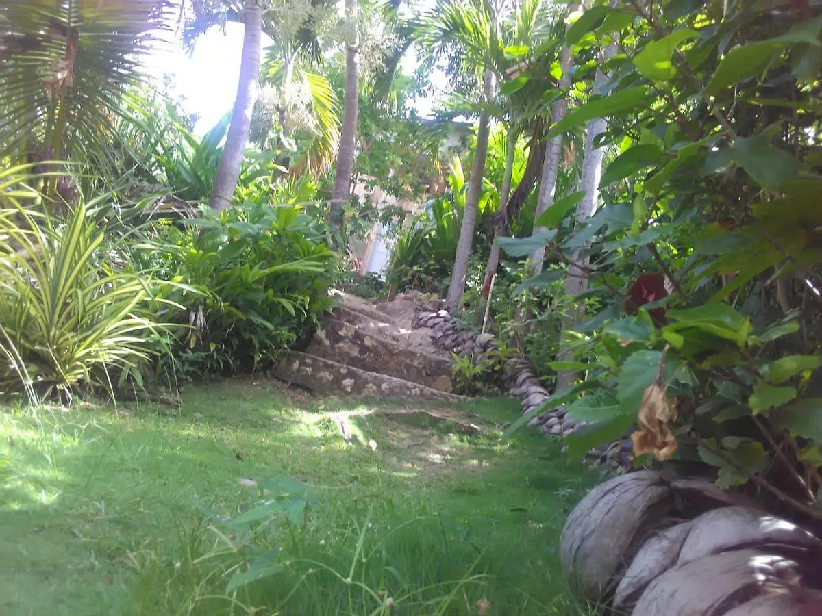 Lodge Hotel Port Antonio Brian'S Beach House