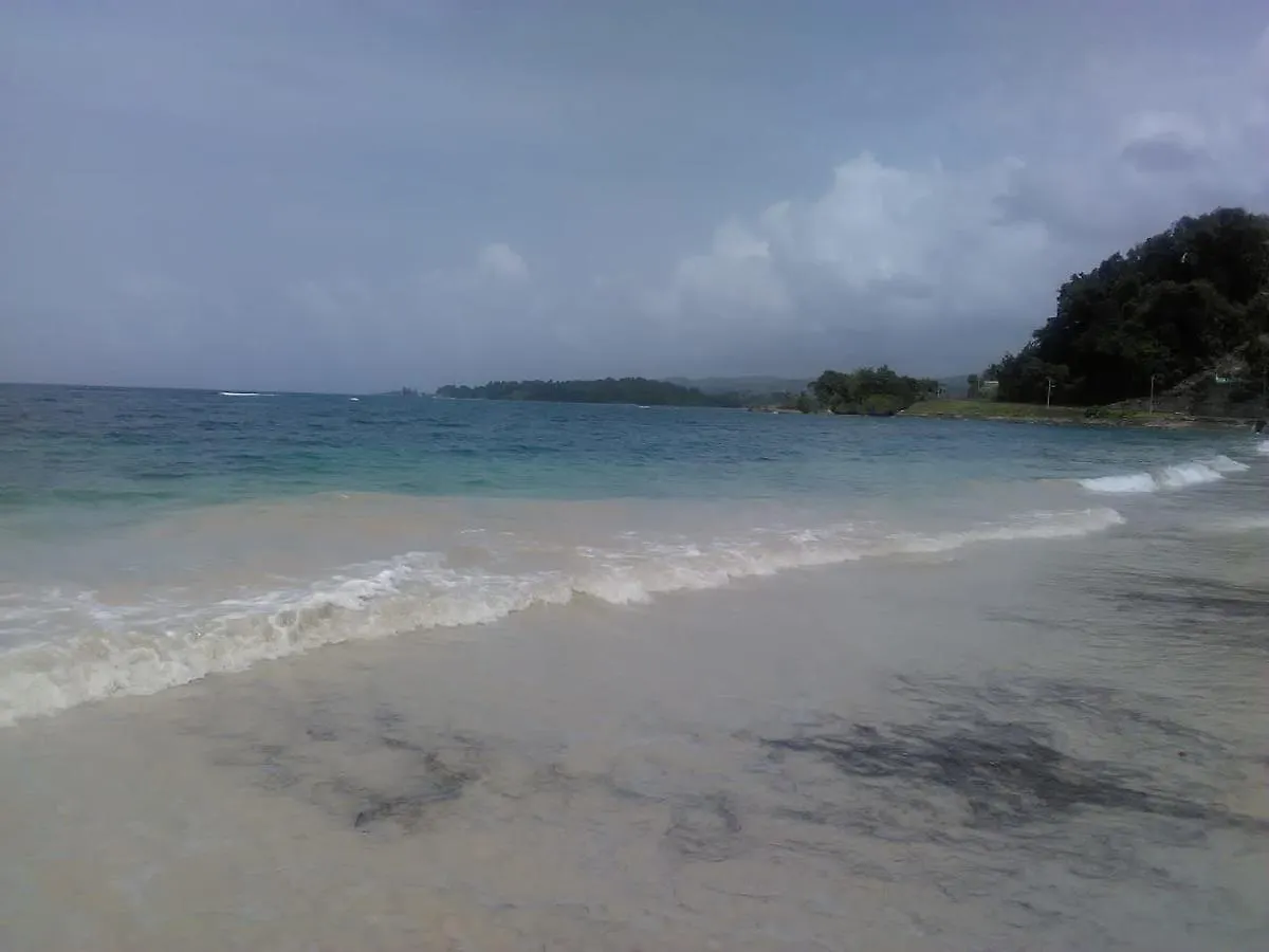 Hotel Port Antonio Brian'S Beach House Lodge