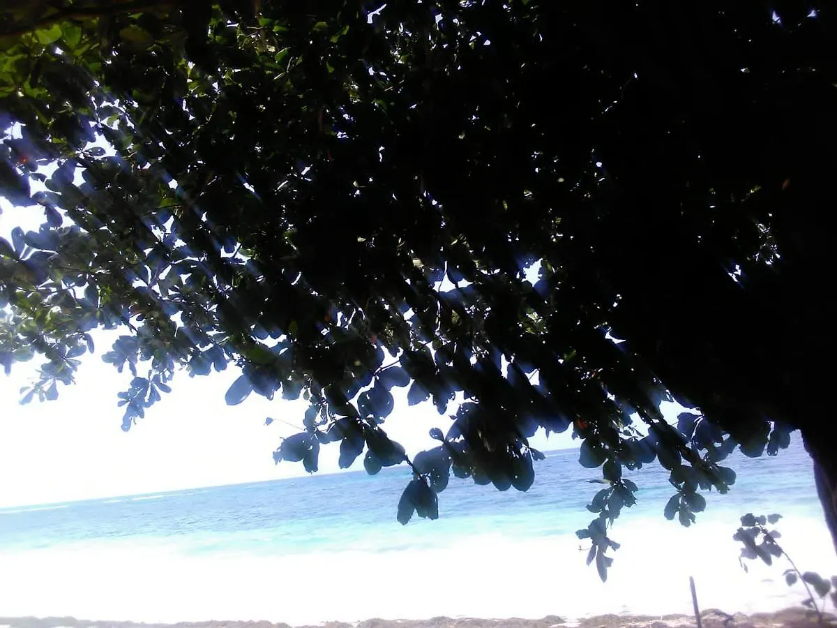 Lodge Hotel Port Antonio Brian'S Beach House