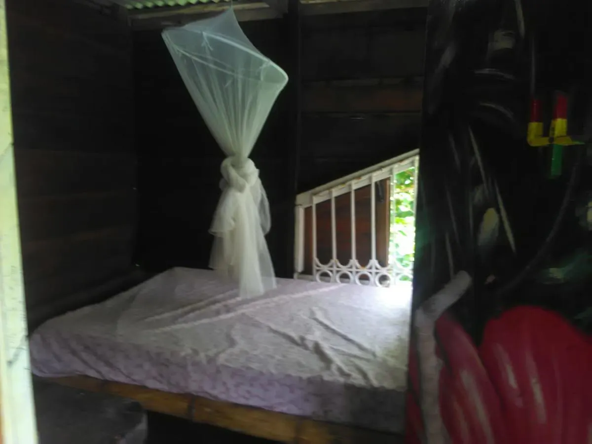 ロッジ ホテルPort Antonio Brian'S Beach House