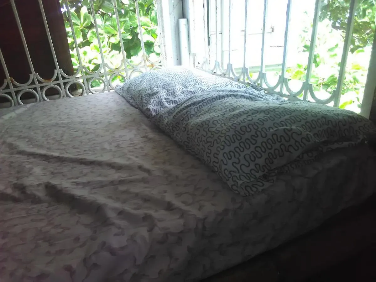 Port Antonio Brian'S Beach House Hotel Hytte