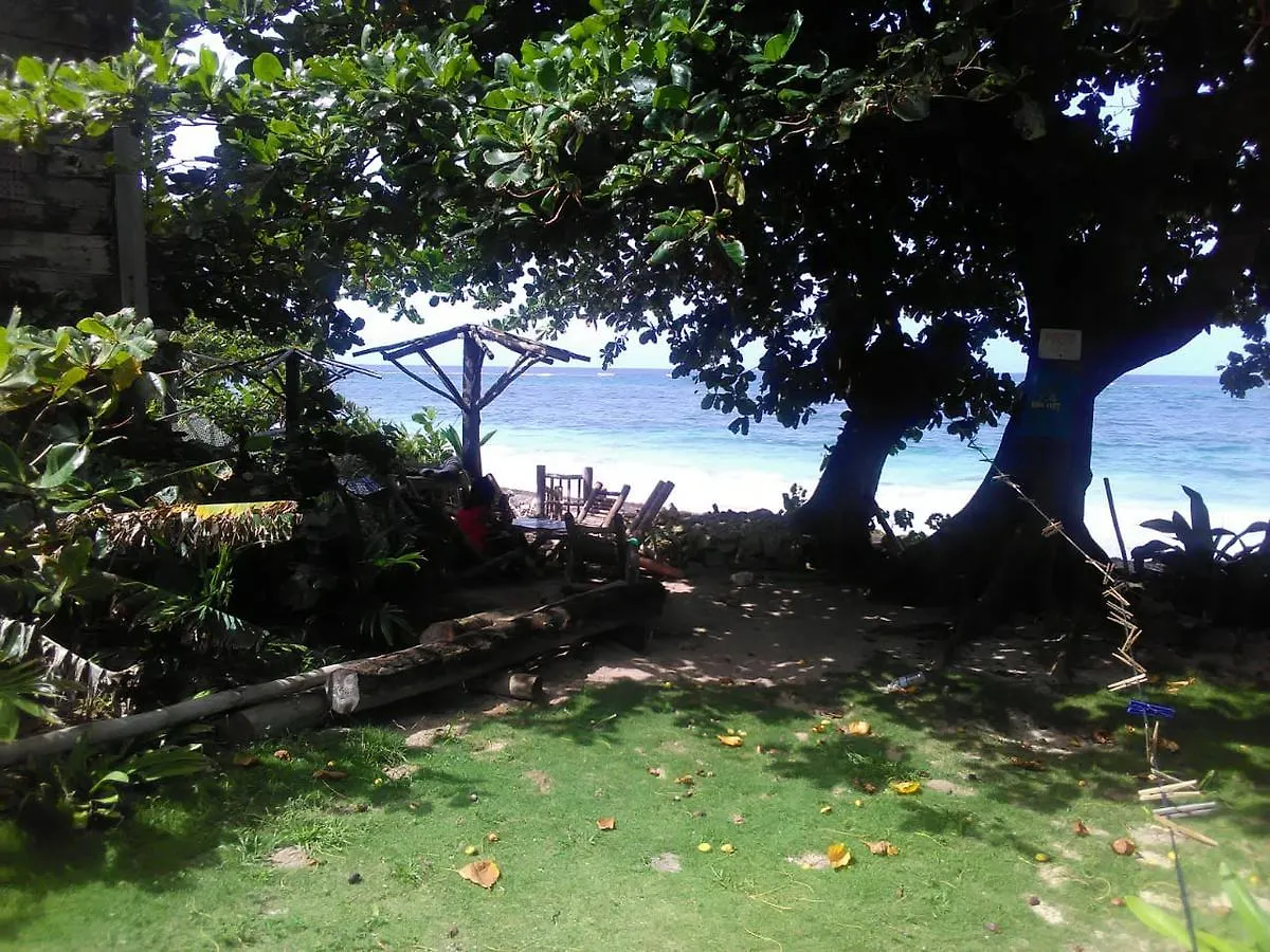Port Antonio Brian'S Beach House Hotel Hytte Port Antonio